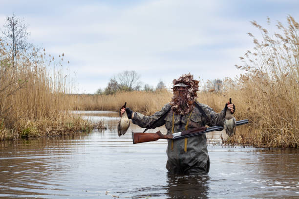 un chasseur se tient dans l’eau avec deux canards morts dans les mains - lac waterfowl photos et images de collection