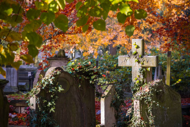 Overgrown graveyard in Brompton Cemetery, London during autumn season