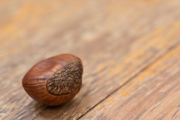 One acorn fell.