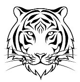 istock The ｔiger face, isolated on white background 1339989475