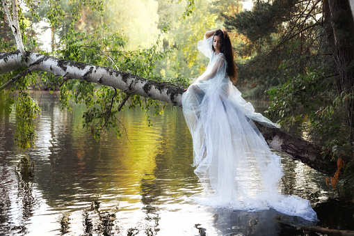 Art beautiful romantic woman in blue long dress sitting on fallen tree above river. Brunette woman in transparent dress