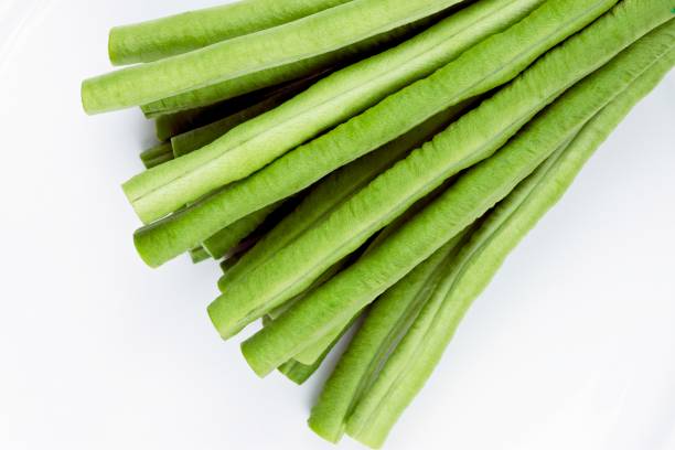 istock Cowpea beans (Chinese long beans)- white background. 1339995544