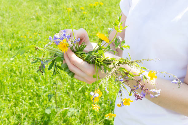 istock Weaving a wreath of wild flowers 1339996192