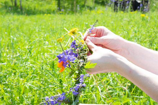 https://media.istockphoto.com/id/1339996195/photo/weaving-a-wreath-of-wild-flowers.jpg?b=1&s=170667a&w=0&k=20&c=j7qFIZuowDEMo-Cm1gskArvW8ea-aU3Sl5140y9nzNU=