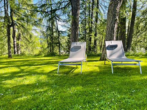 Two gray deck chairs in the forest