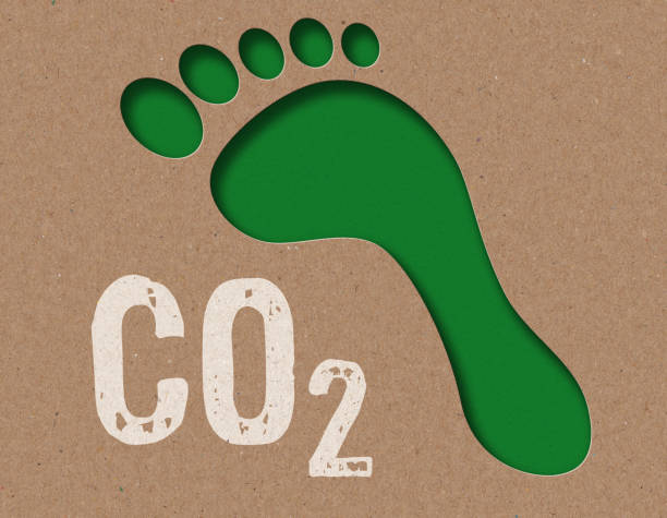 istock Paper cut - Carbon footprint 1340000691