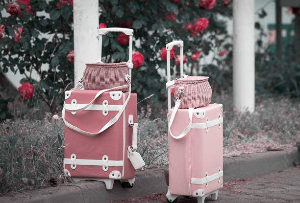 Two fancy suitcases in vintage style