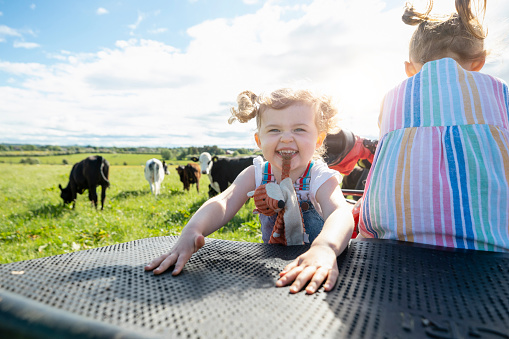 A front-view shot of two young sisters sitting on a quad bike together, they are visiting their parent's farm in North East, England. A group of cows is nearby. One young girl is smiling and looking at the camera with her toy hanging from her mouth.