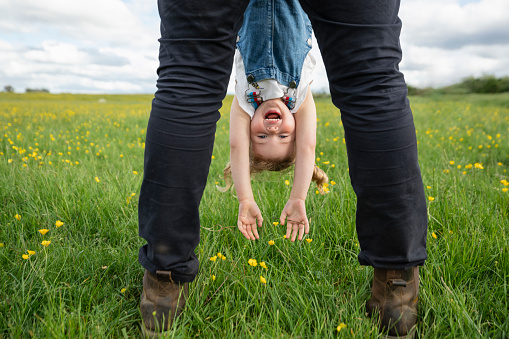 A front-view shot of an unrecognizable father standing on a field with his young daughter, he is holding her upside down by her ankles, they are at his farm in North East, England. They are being playful and having a fun time together.