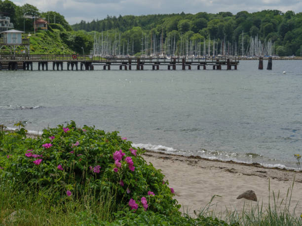 istock Beach at the baltic sea in germany 1340002772