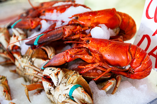 Fresh live lobsters and crab, seafood on ice for sale in fishmongers