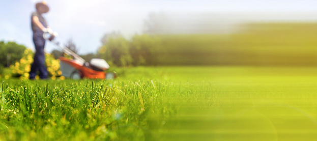 A young man is mowing a lawn with a lawn mower in his beautiful green floral summer garden. A professional gardener with a lawnmower cares for the grass, horisontal panorama with copy space