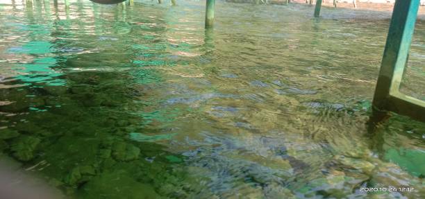 istock Green Water picutre 1340006130
