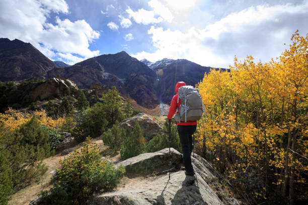 istock Backpacker hiking in high altitude winter mountains 1340009497