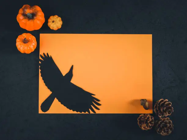 One orange empty leaf lie horizontally in the middle on a black background with a paper crow, decorative pumpkins, pine cones on the sides. Flat lay close up.