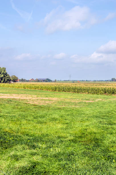 tierras de cultivo alrededor de broek en waterland países bajos - waterland fotografías e imágenes de stock