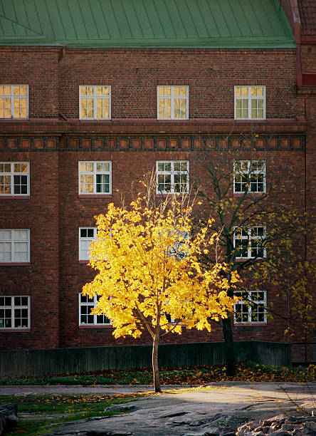 Mid stories of colorful brick wall apartment building in Milan