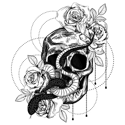 istock Bouquet of roses, snake and skull. Botanical line art illustration. Gothic vintage tattoo. 1340013678