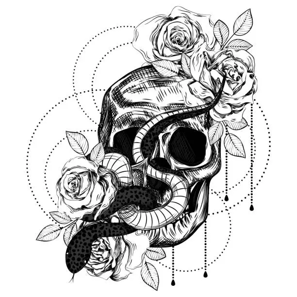 Vector illustration of Bouquet of roses, snake and skull. Botanical line art illustration. Gothic vintage tattoo.