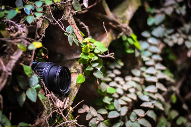 Spying Through the Fence
