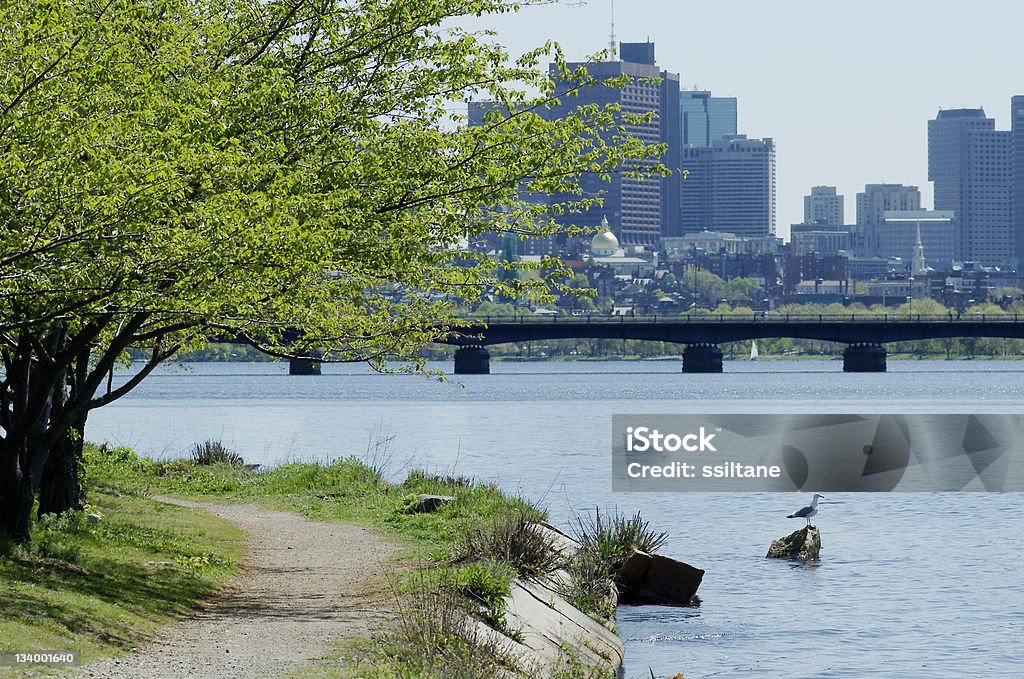 Boston Fiume Charles - Foto stock royalty-free di Ambientazione esterna