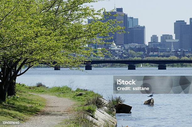 Foto de Boston E Do Rio Charles e mais fotos de stock de Arranha-céu - Arranha-céu, Boston - Massachusetts, Centro da cidade