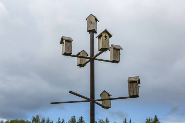 istock Empty feeder for birds on the background of a cloudy sky 1340016965