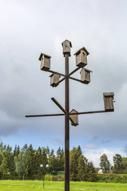 istock Empty feeder for birds on the background of a cloudy sky 1340016971
