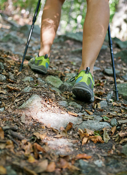 istock Woman legs hiking in forest 134001842