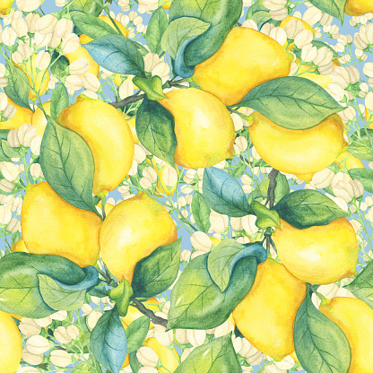 Yellow lemons and beige flowers on a blue background. Watercolor seamless intertwining pattern. Illustration for books, fabrics, covers.
