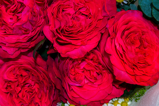 Artificial plants, close-up of a bouquet of red roses.