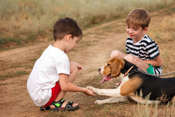 istock Two little brothers walking the dog 1340020136