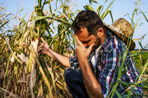 agricultor - dry country - fotografias e filmes do acervo