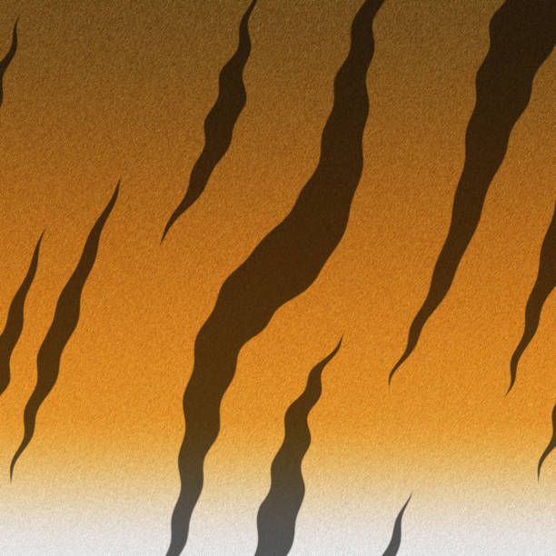Background bengal tiger fur texture illustration. 2022 is the year of the tiger according to the Chinese calendar.