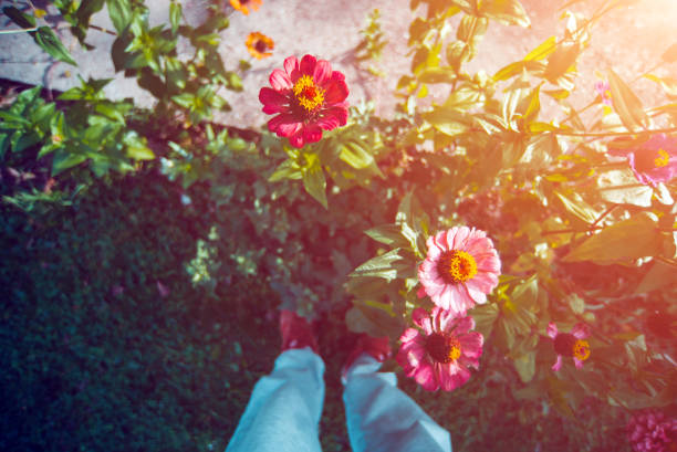 Unrecognizable man standing in flowers garden, high angle pov view