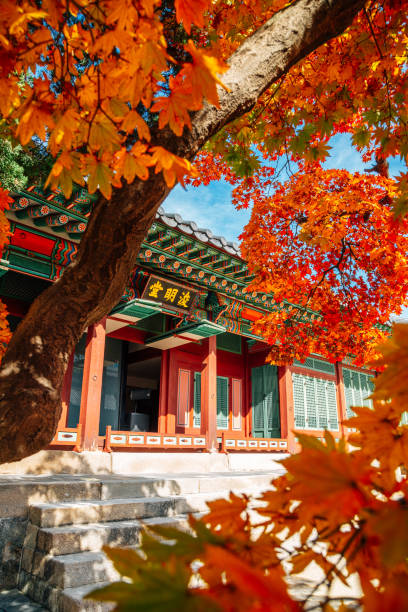 istock Deoksugung Palace with autumn maple in Seoul, Korea 1340026880