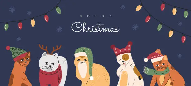 Vector illustration of Set of Christmas cats portraits, collection of funny cute kitty in hats and sweaters