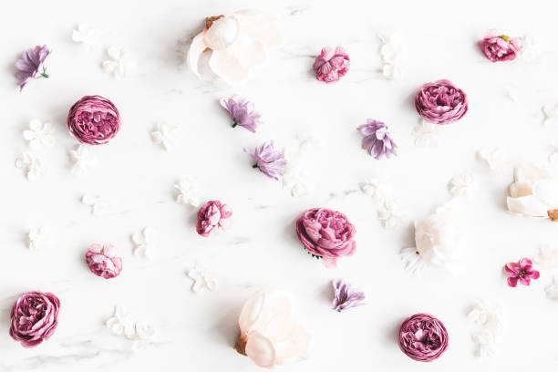 istock Flowers composition. White and purple flowers on marble background. Flat lay, top view 1340028601