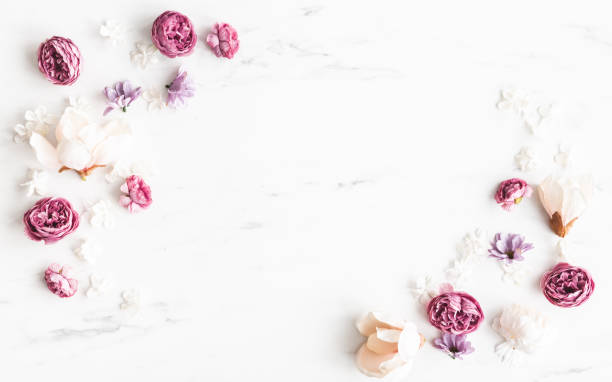 istock Flowers composition. White and purple flowers on marble background. Flat lay, top view 1340028608