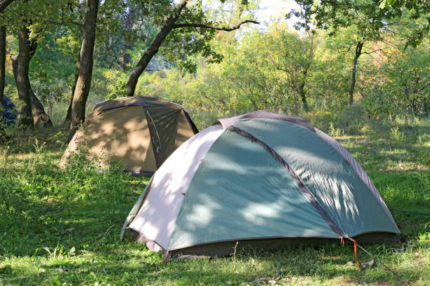istock tourist tents in camp 1340028798