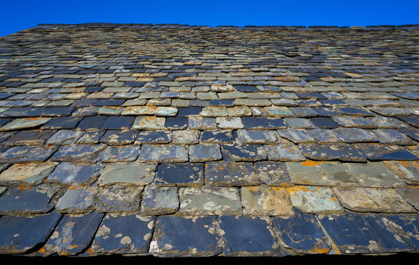 ピリーヌスペインのスレート苔の屋根のタイル - roof tile nature stack pattern ストックフォトと画像