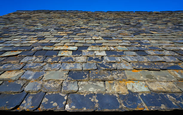 telhas de musgo de ardósia em pireenes espanha - roof tile nature stack pattern - fotografias e filmes do acervo