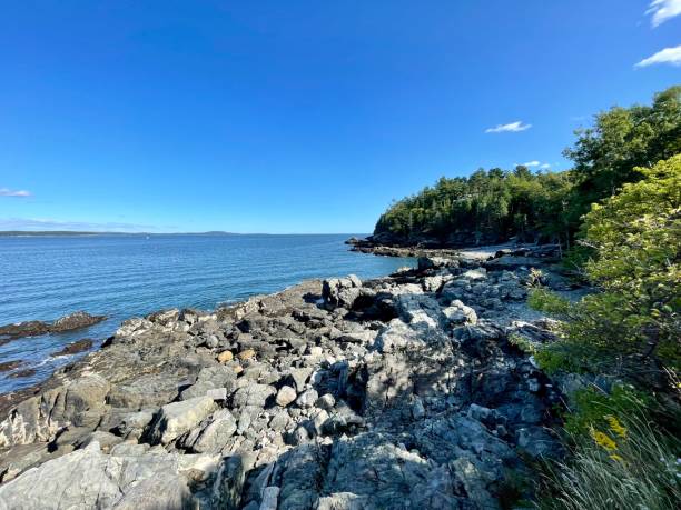 istock Coastal Maine - Acadia NP 1340029180