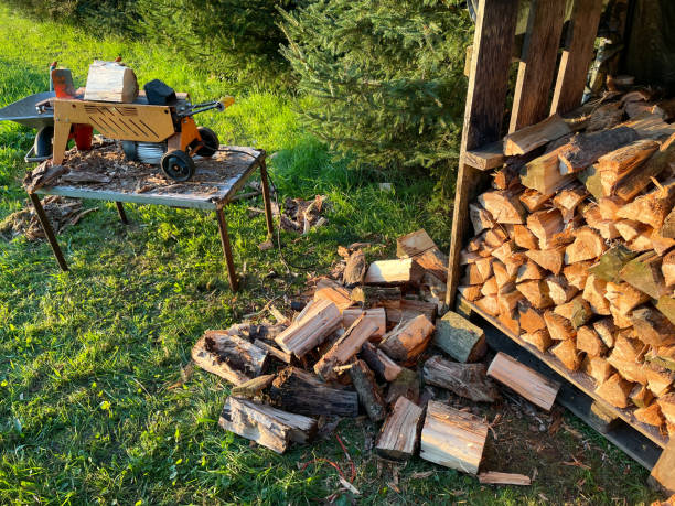 drewno opałowe jest dzielone za pomocą łuparki do kłód - wood cutting chopping fireplace zdjęcia i obrazy z banku zdjęć