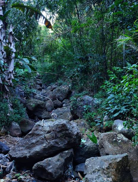 istock view of a group of rocks with shady trees 1340037059