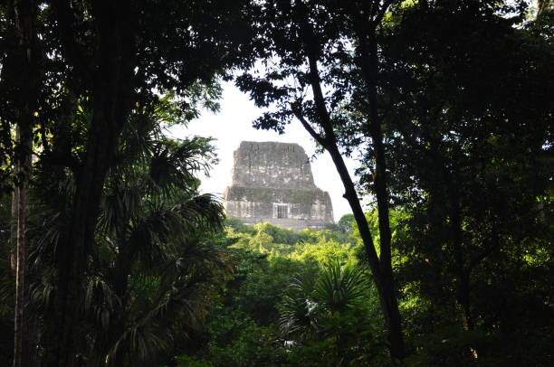 istock A temple in Tikal National Park, Guatemala. 1340040518