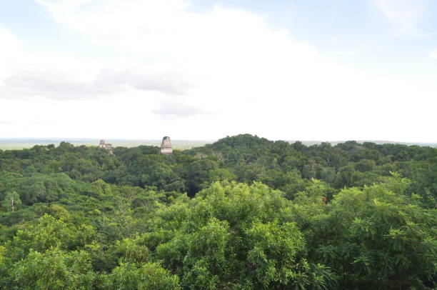 istock A temple in Tikal National Park, Guatemala. 1340040603