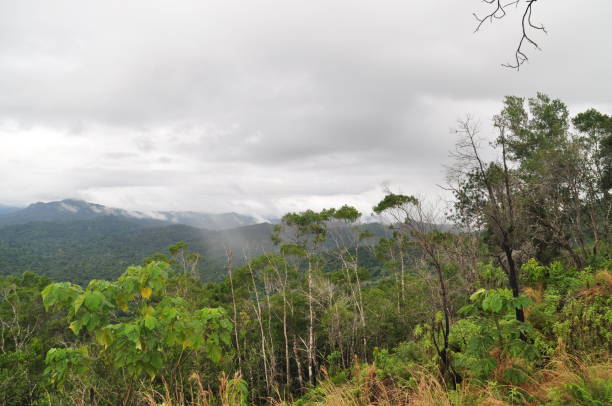 istock The Cockscomb Basin Wildlife Sanctuary in Belize. 1340040734