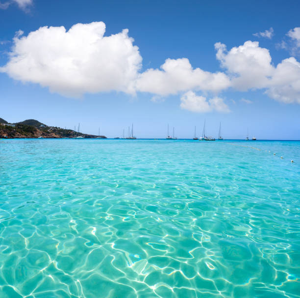 istock Ibiza Cala Tarida beach in Balearic Islands 1340041349