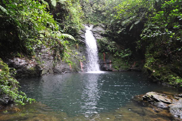 istock Water fall in the Cockscomb Basin Wildlife Sanctuary in Belize. 1340041380
